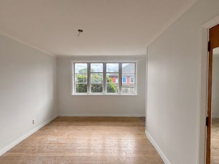 24 Westcott Street, Dallington, NZ 8061 - Photo 4