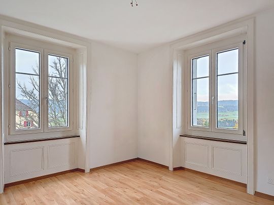 Large garden - Photo 1