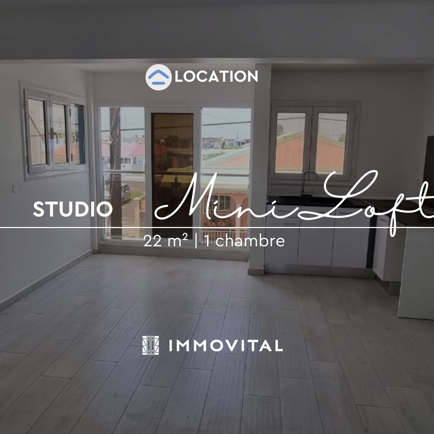 Location Appartement 1 pièce 22m² LE MOULE 97160 - Photo 1