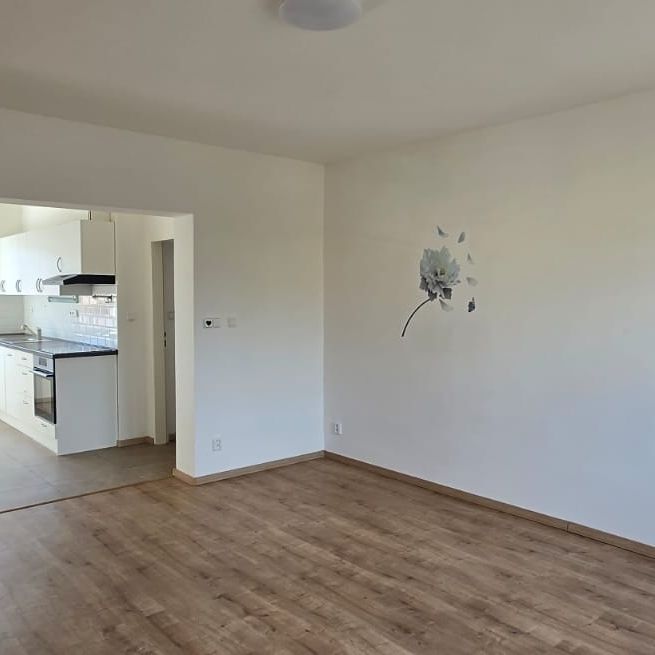 Pronájem bytu 2+1 v osobním vlastnictví 58 m², Louny - Photo 1