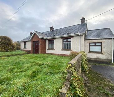 43 Steps Road, Magheralin, BT67 0QZ - Photo 4