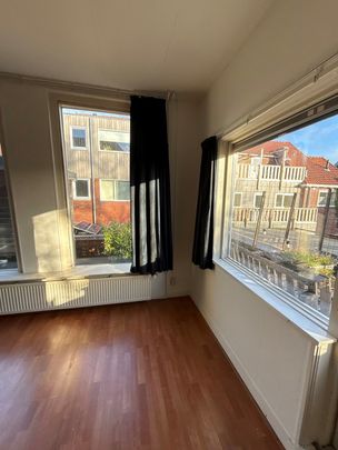 Zuidvliet 230B - Photo 1