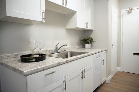 Driftwood Apartments - ALL INCLUSIVE - Photo 5