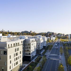 Studio - 1250 Avenue Thérèse-Lavoie-Roux, Outremont - Photo 2