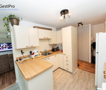 7239 des Pékans - Photo 4