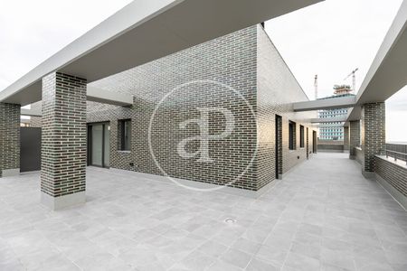 New Build Apartment for Rent in Finestrelles - Photo 4