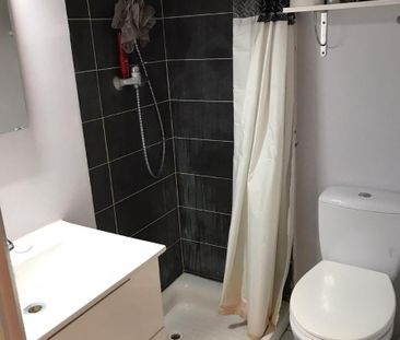 Location Appartement 1 pièce 15m² ST SAULVE 59880 - Photo 3