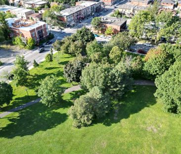 10245 Rue D'Iberville, H2B 2T7, H2B 2T7, Montréal - Photo 1