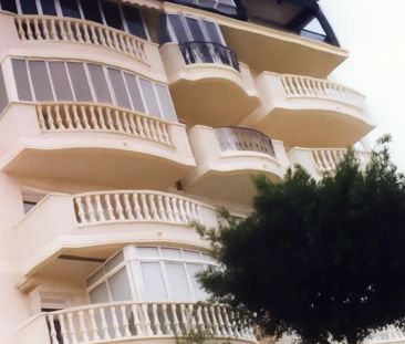 Elche / Elx - Photo 3