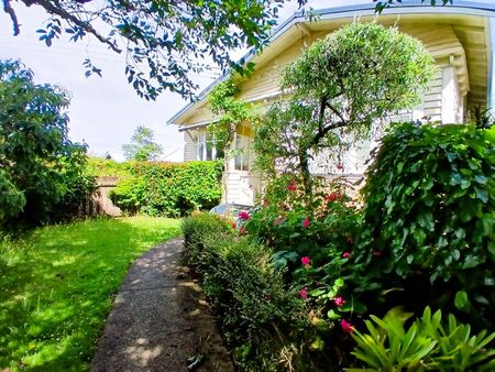 Spacious pet friendly remuera home. - Photo 5