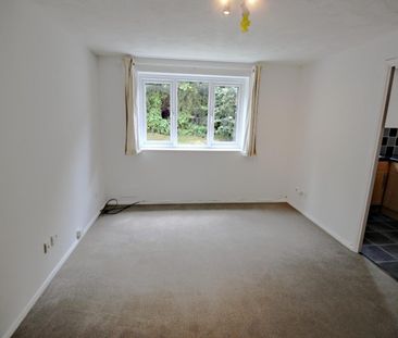 1 bedroom Flat To Let Total Size: 409 SQ FT - Photo 1