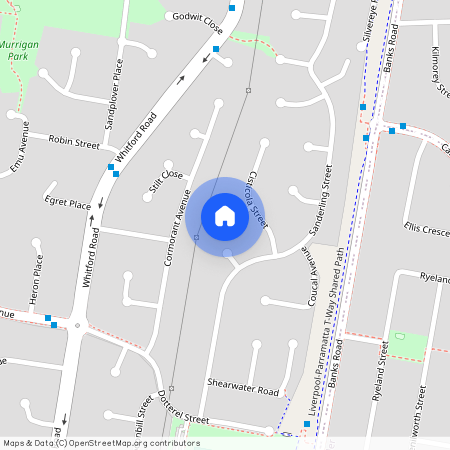 6 Gull Place, NSW 2168, Hinchinbrook