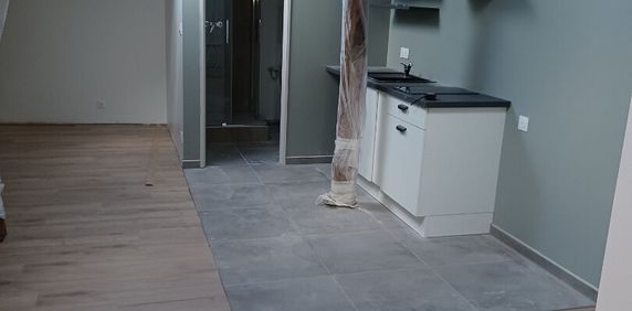 Appartement T1 près de DOGNEVILLE à louer - Photo 2