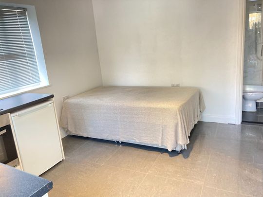 Studio Flat, Very Near Maple Grove Area, W5 - Photo 1