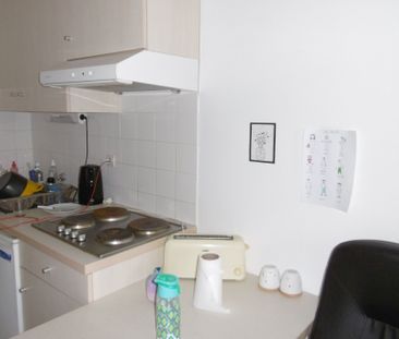 Location Appartement 1 pièce 16m² GRENOBLE 38000 - Photo 2