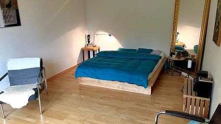 1½ Zimmer-Wohnung in Winterthur - Oberwinterthur, möbliert, auf Zeit - Foto 4