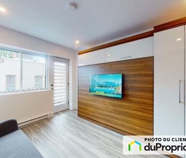 1150, Marie-Anne, Le Plateau-Mont-Royal à louer - Photo 3