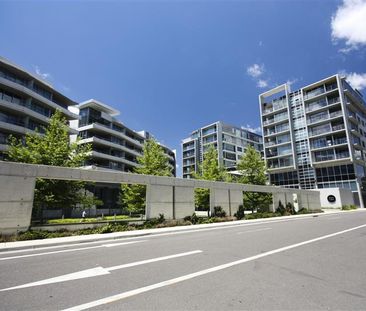 2/5 Burbury Close, Barton ACT 2600 - Apartment For Rent | Domain - Photo 6