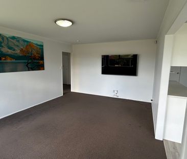 Sunny Family Home in Great location - Photo 2