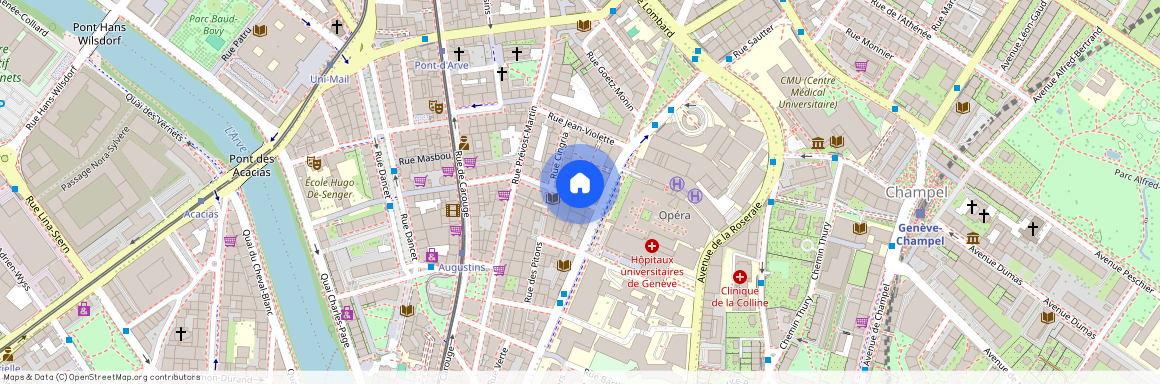 1205, Genève, Rue du Pré-Jérôme, 19