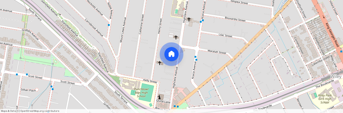 78 Highclere Avenue, Punchbowl NSW 2196