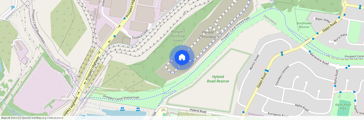 309 Driftway Drive, NSW 2145, Pemulwuy