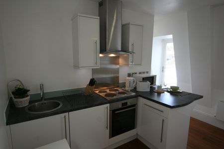 Studio Flat, Winchester Street, SW1V - Photo 3