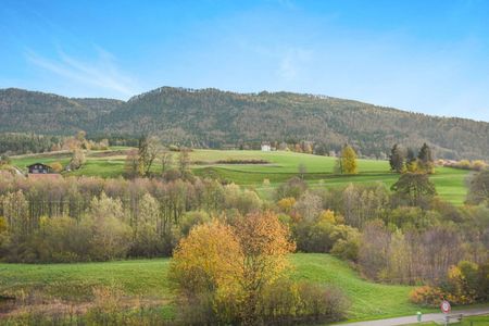 3.5 Zimmer, 65 m², 2. Stock - Foto 4