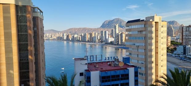 @Benidorm Levante Studio winter holiday let - Photo 1