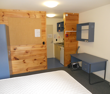 Furnished studio in Mt Cook - Photo 6