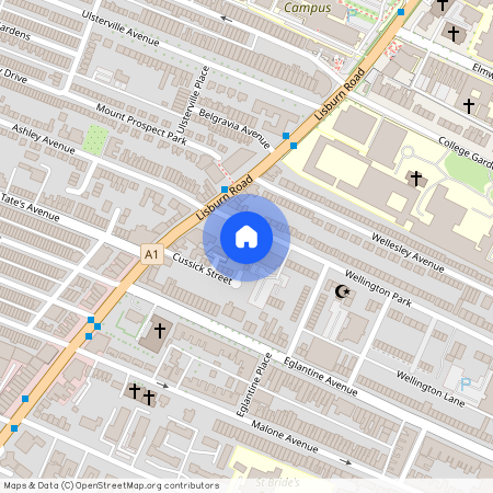 Apt 3, 66 Wellington Park, Belfast, BT9 6DP