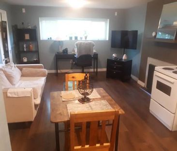 1 Br, 1 Bathroom Basement Suite for Rent - Photo 1