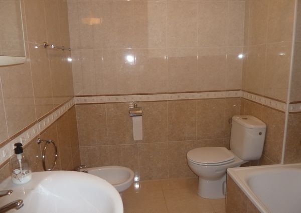 53 Tulipan – Id. 393