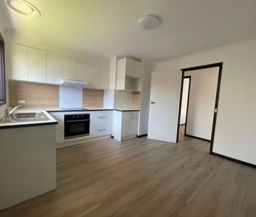Fully Renovated 2-Bedroom Unit - Photo 2
