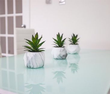 3 bedroom flat to rent - Photo 3