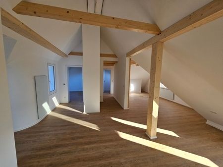 Traumaussicht über die Dächer von Neheim: Erstklassige Wohnung, XL-Ausstattung, kernsaniertes Haus - Foto 3