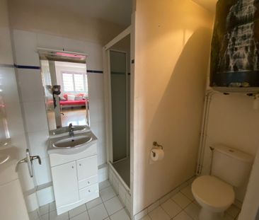 Location Appartement 1 pièce 17m² TOULOUSE 31000 - Photo 6
