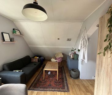 Zuider Parallelweg - Foto 4