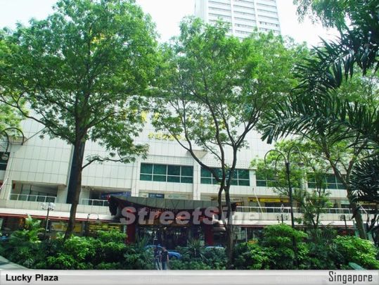 Lucky Plaza (D9), Apartment - For Rent - Photo 1