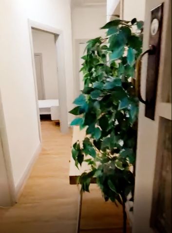 45 Houston Rd, Sydney - Photo 4