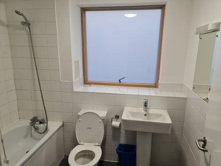 Room in a Shared Flat, Lascelles House, SW8 - Photo 5