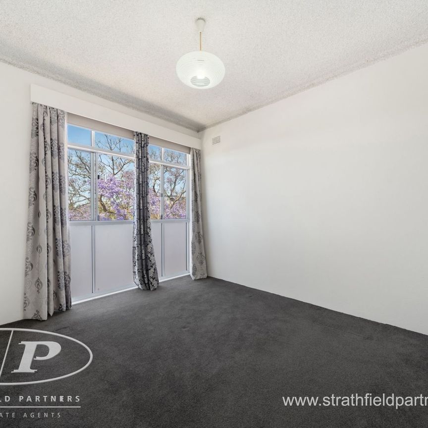 * North facing spacious living - Photo 1