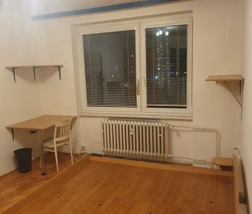 Pronájem pokoje Brno Černovice, ul. Řehořova, 15 m - Fotografie 2