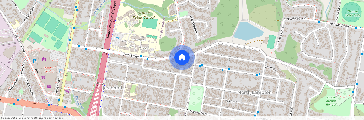 91 Janet Street, 2299, North Lambton