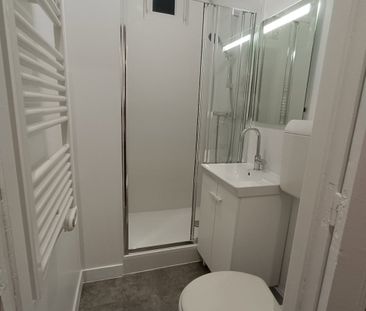 JOLI 2 PIECES RENOVE à LOUER - 130 mètres de la station Maisons-Alf... - Photo 5