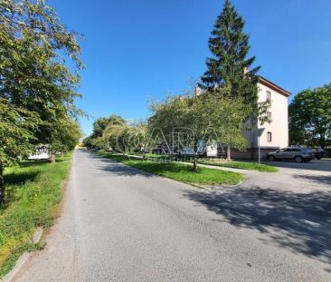 Pronájem, byt 2+1+B, ul. Stromořadí, Dobřany - Photo 5