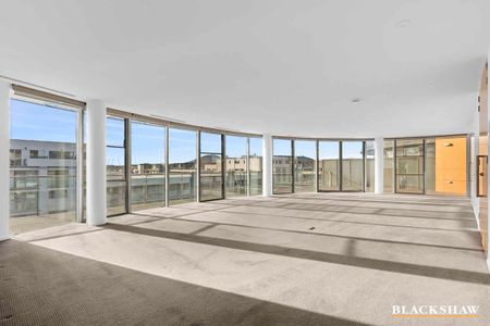 Luxury Penthouse In The Heart Of Kingston - Photo 4