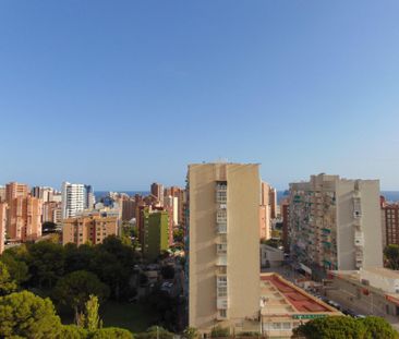 Apartamento de 42 m² en Benidorm zona Benidorm - Photo 2