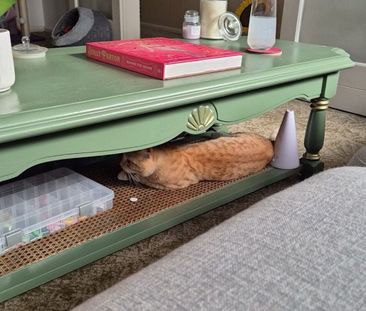 Moonee Ponds - Photo 3