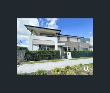 15 Sundew Street, Denham Court, NSW 2565 - Photo 6